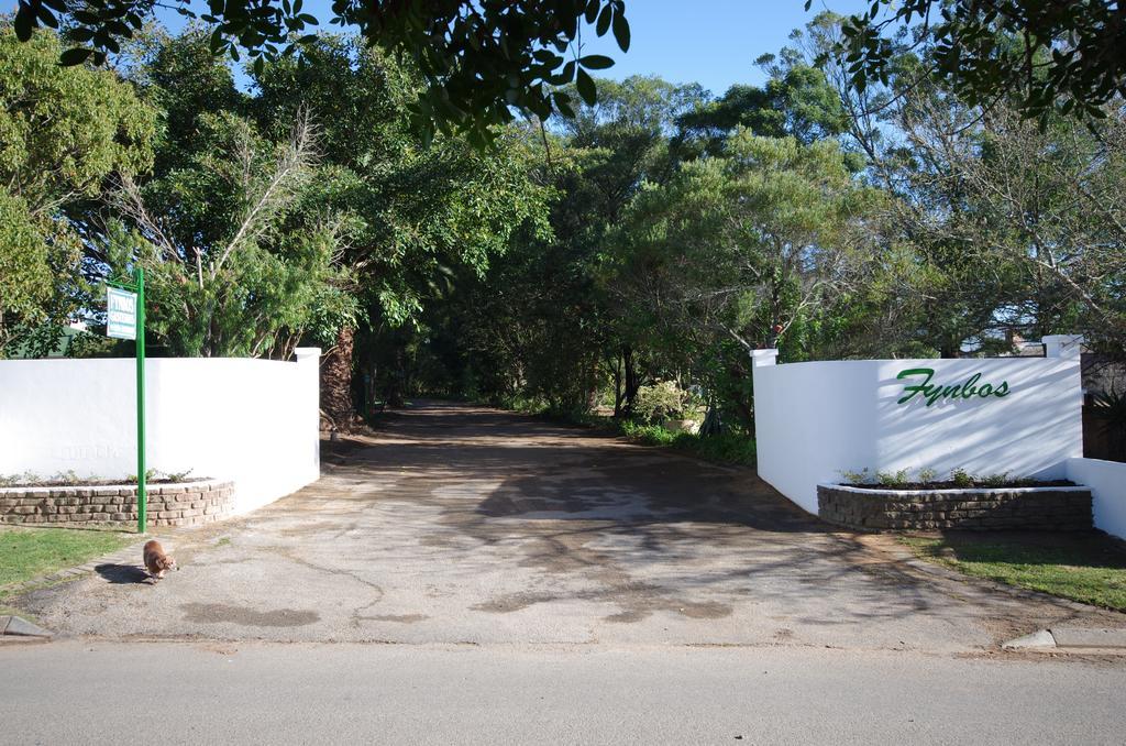 Fynbos Guest House Riversdale Dış mekan fotoğraf