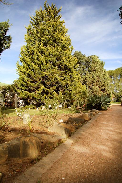 Fynbos Guest House Riversdale Dış mekan fotoğraf